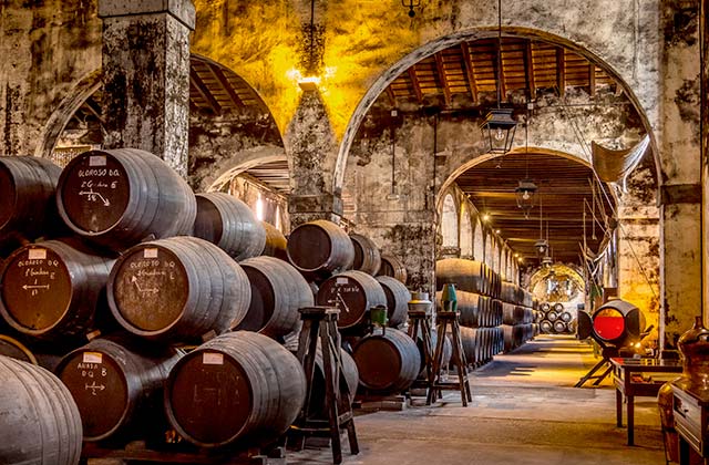 bodegas-gastronomico-argentina-travel