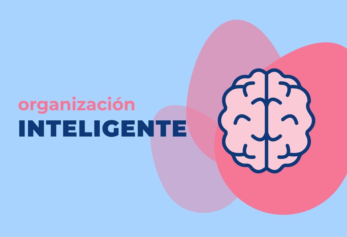 Organización inteligente:​ consejos para maximizar el espacio
