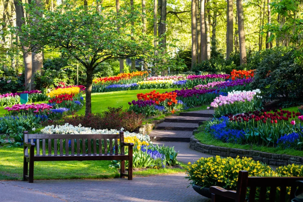 keukenhof-gardens-ap