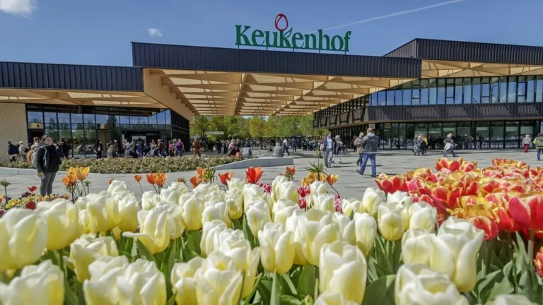 keukenhof-portada-turismo