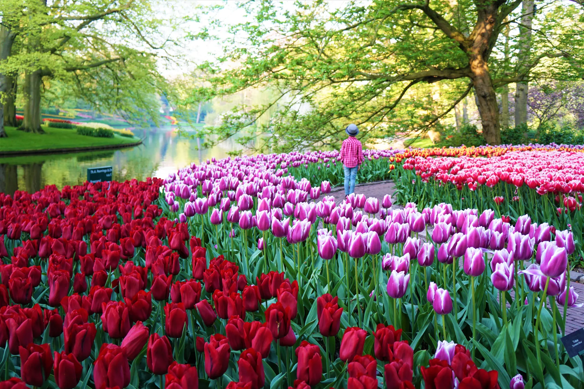 keukenhof-turismo