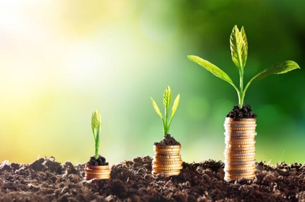 Ahorro ‌Sostenible: Construye un Futuro‌ Financiero Seguridad